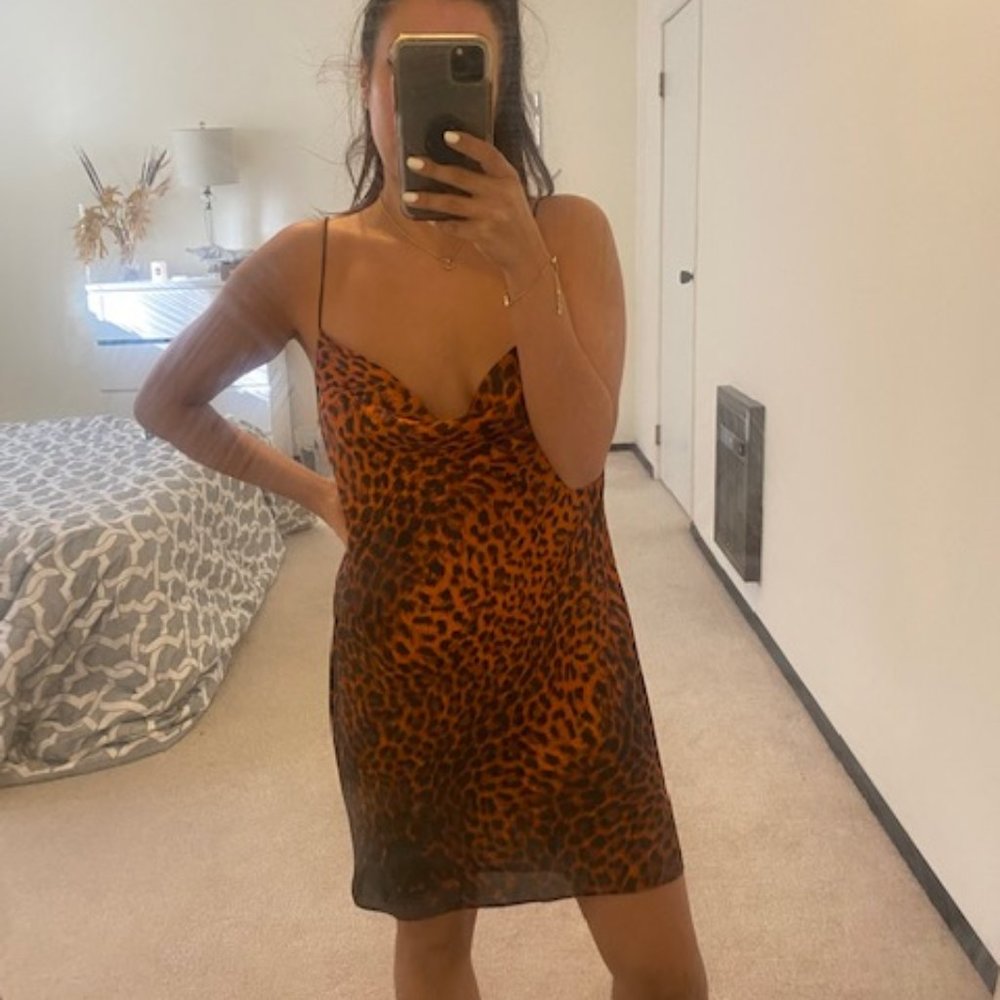 Zara Leopard Slip Dress